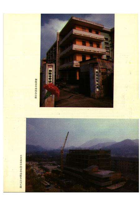 《铜陵市劳动志》.pdf_安徽省志预览图5