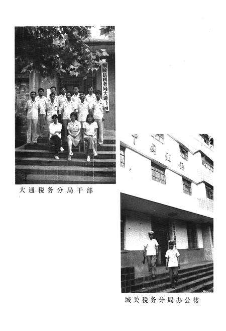 《钢陵县税务志》.pdf_安徽省志预览图4