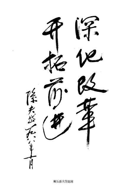 《马钢动力厂志(1958~1985)》.pdf_安徽省志预览图5