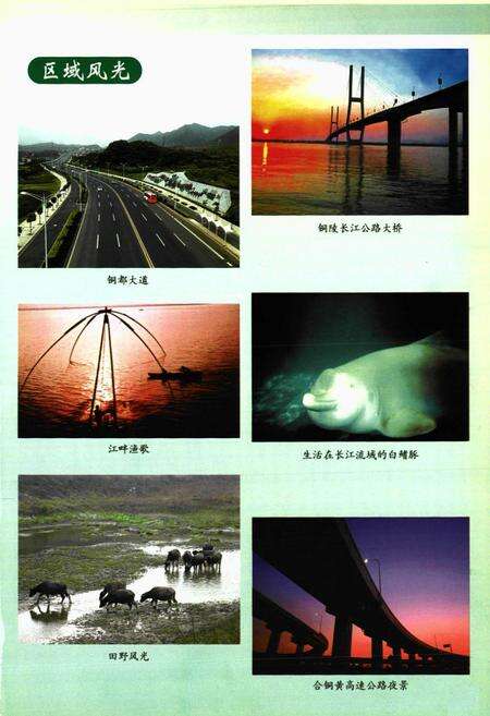 《铜陵市郊区志(-2000)》.pdf_安徽省志预览图4
