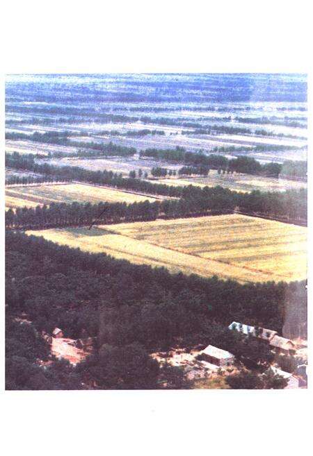 《宿县地区志》.pdf_安徽省志预览图4