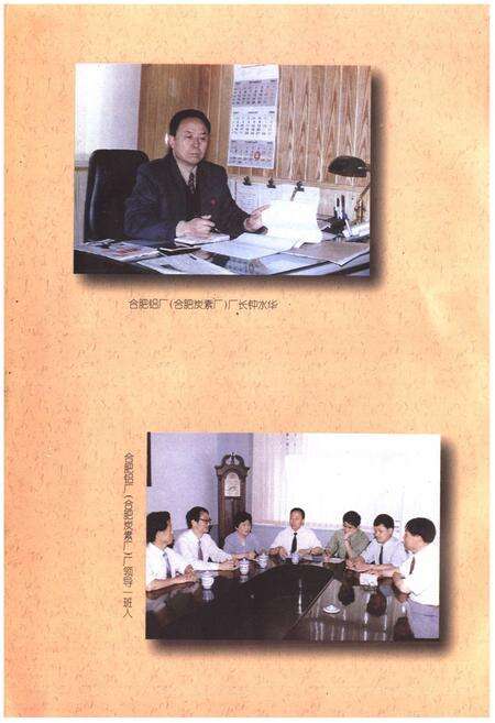 《合肥铝厂志(第二卷)(1987-1996)》.pdf_安徽省志预览图4