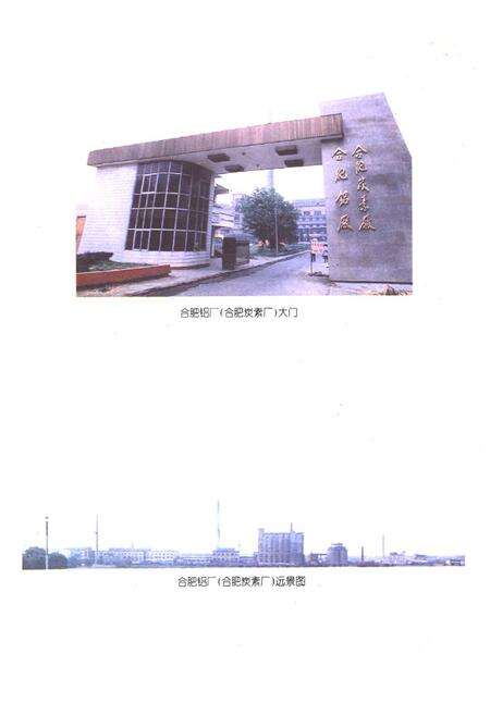 《合肥铝厂志(第二卷)(1987-1996)》.pdf_安徽省志预览图5