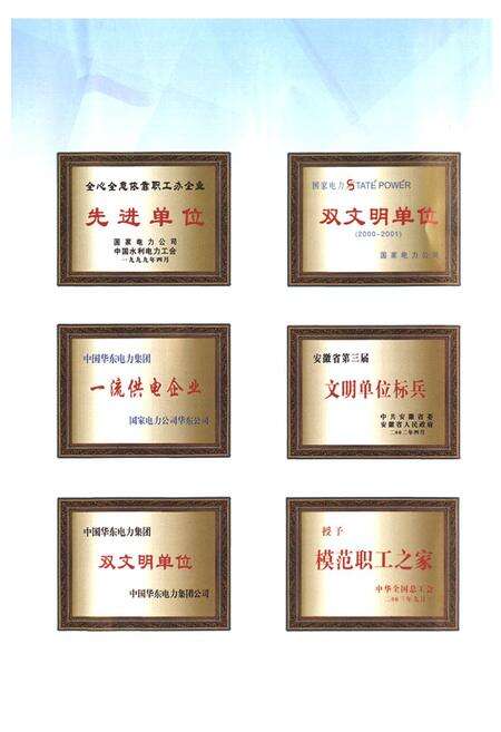 《滁州供电局志(1986~2005)》.pdf_安徽省志预览图4