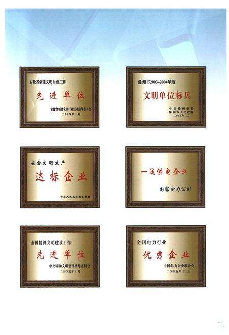 《滁州供电局志(1986~2005)》.pdf_安徽省志预览图5