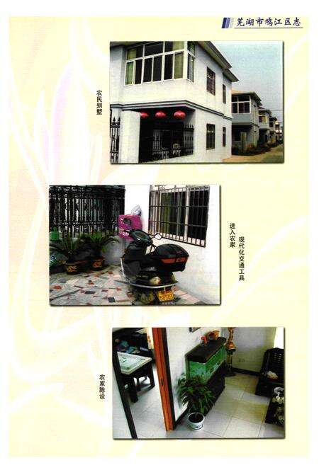 《芜湖市鸠江区志(——2003)》.pdf_安徽省志预览图5