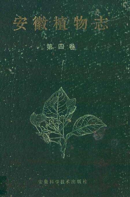 《安徽植物志第四卷》.pdf_安徽省志缩略图