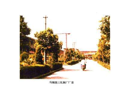 《马钢第三轧钢厂志(1958~1994)》.pdf_安徽省志预览图3