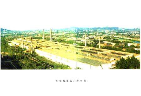 《马钢第一轧钢厂志(1961-1983)》.pdf_安徽省志预览图5