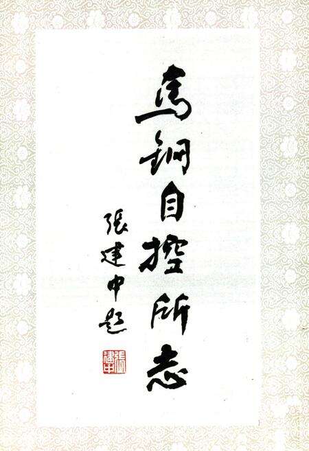 《马钢自动化计控研究所志(1978-1985)》.pdf_安徽省志预览图2