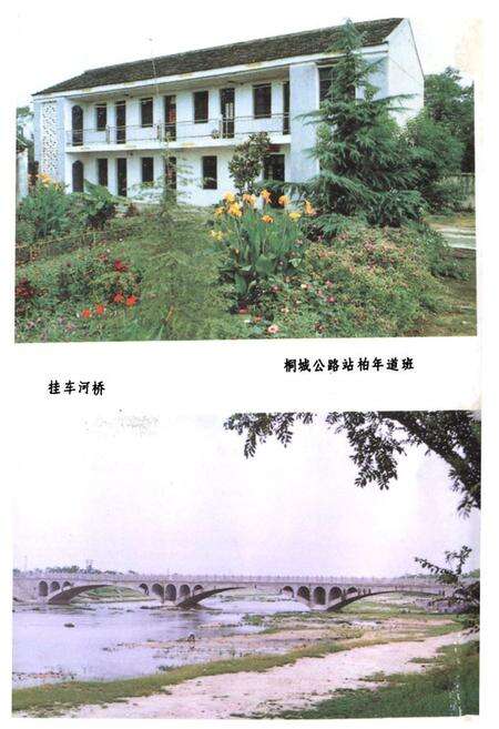 《《桐城县交通志》》.pdf_安徽省志预览图5