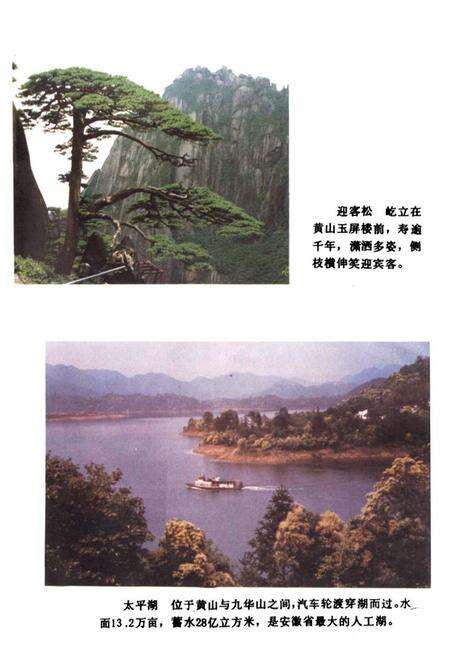 《《黄山市林业志》》.pdf_安徽省志预览图3