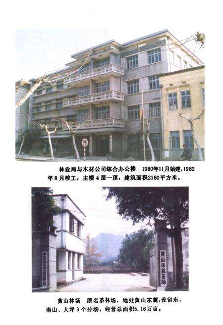 《《黄山市林业志》》.pdf_安徽省志预览图4