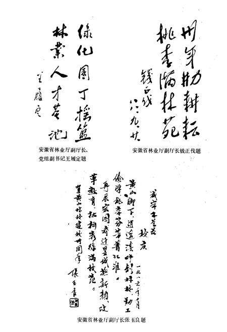 《安徽省黄山林业学校校志(1956-1988)》.pdf_安徽省志预览图5