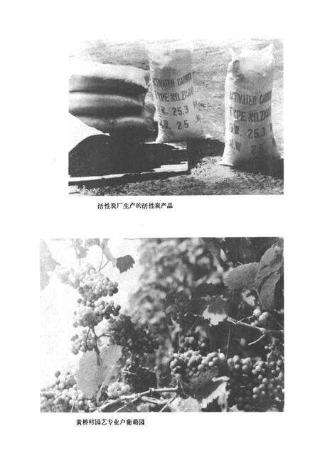 《濉溪镇志》.pdf_安徽省志预览图4