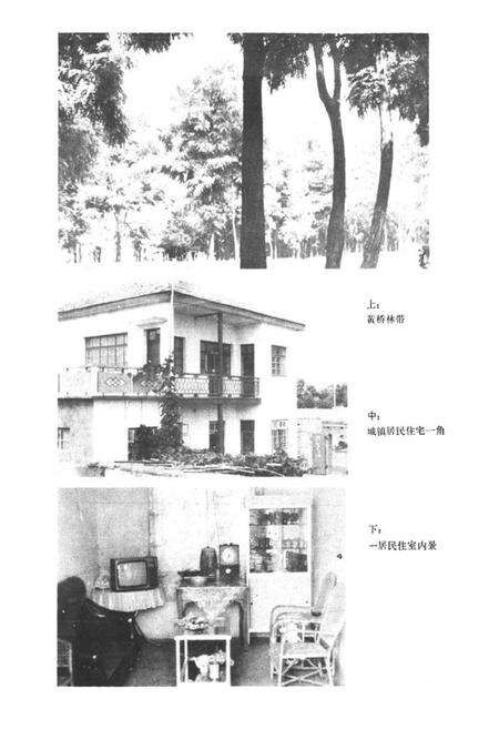 《濉溪镇志》.pdf_安徽省志预览图5