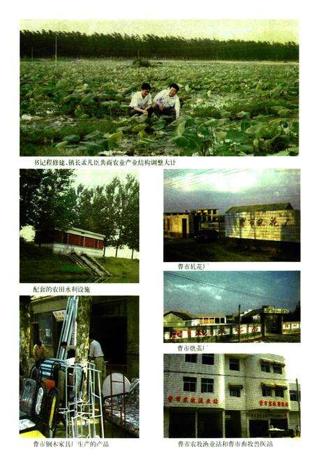 《《曹市镇志》》.pdf_安徽省志预览图4