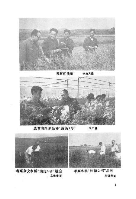 《《滁县地区农业志》》.pdf_安徽省志预览图3