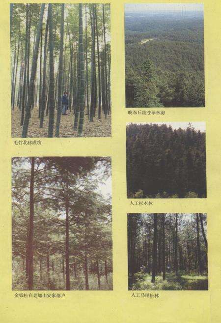 《《滁县地区林业志》》.pdf_安徽省志预览图4