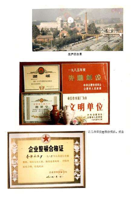 《《合肥水泥厂志》》.pdf_安徽省志预览图3