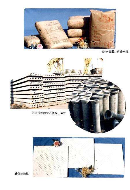 《《合肥水泥厂志》》.pdf_安徽省志预览图5