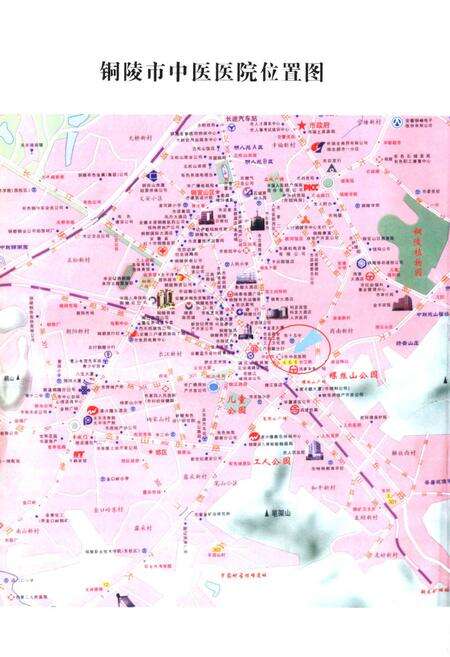 《铜陵市中医医院志(1955.3-2005.3)》.pdf_安徽省志预览图2