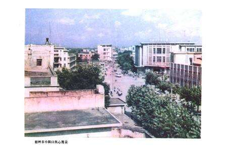 《宿州市医药卫生志》.pdf_安徽省志预览图2