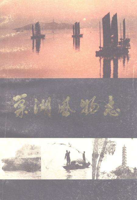 《巢湖风物志》.pdf_安徽省志缩略图