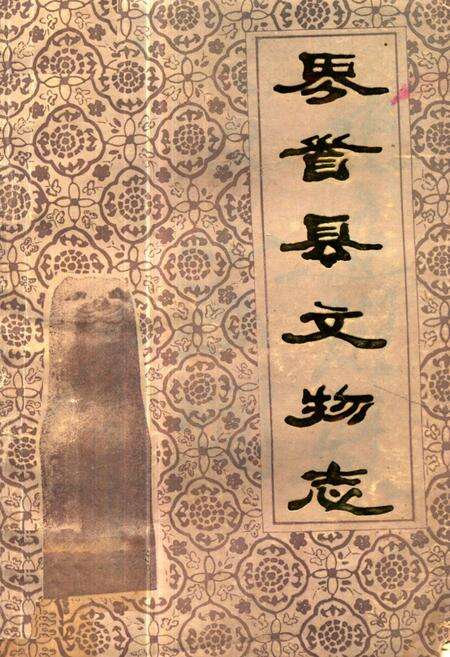 《《界首县文物志》》.pdf_安徽省志缩略图