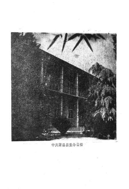 《《萧县城建志》》.pdf_安徽省志预览图4