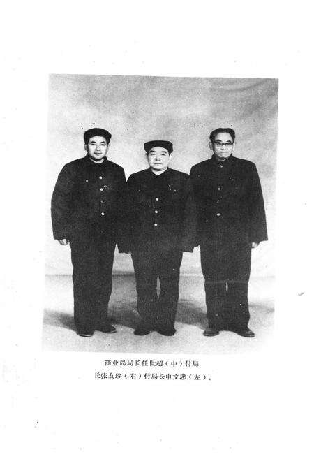 《《灵壁商业志》》.pdf_安徽省志预览图4