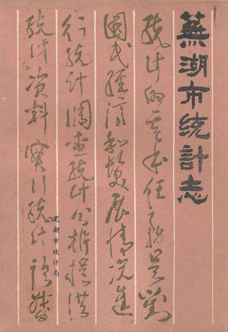 《《芜湖市统计志》》.pdf_安徽省志缩略图