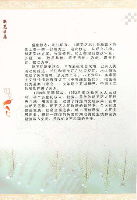 《新芜区志》.pdf_安徽省志预览图1