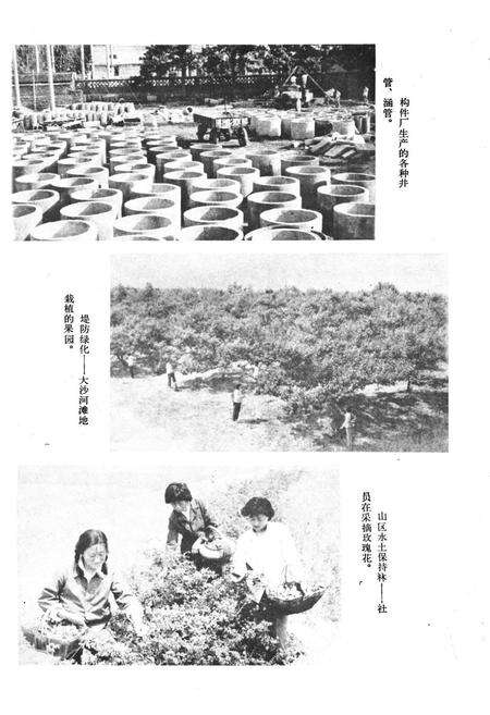 《《萧县水利志》》.pdf_安徽省志预览图3