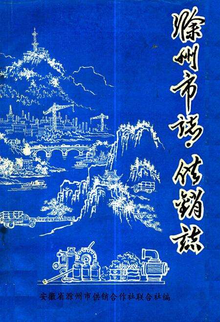《滁州市志·供销志》.pdf_安徽省志缩略图