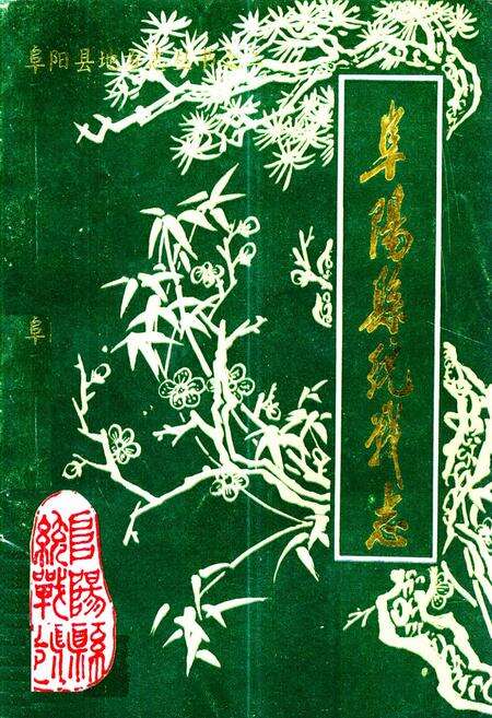 《阜阳县统战志》.pdf_安徽省志缩略图