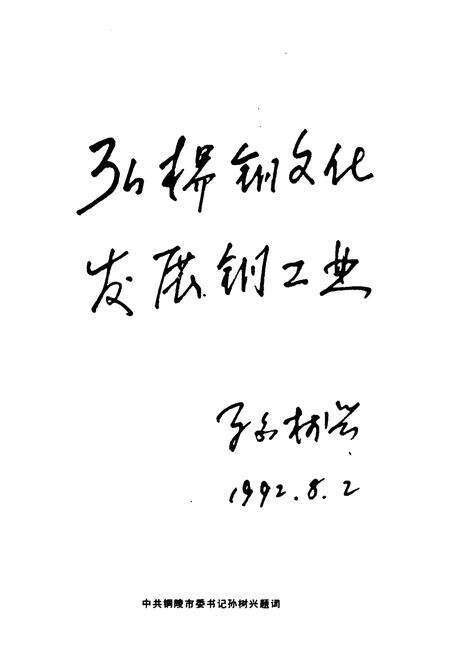 《《铜陵矿治志》》.pdf_安徽省志预览图2