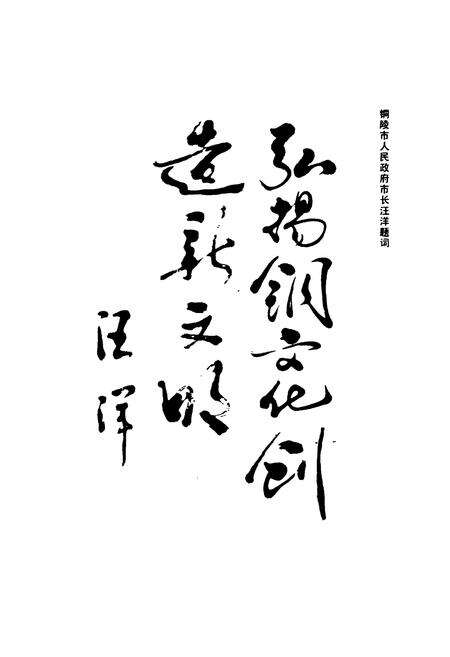 《《铜陵矿治志》》.pdf_安徽省志预览图4