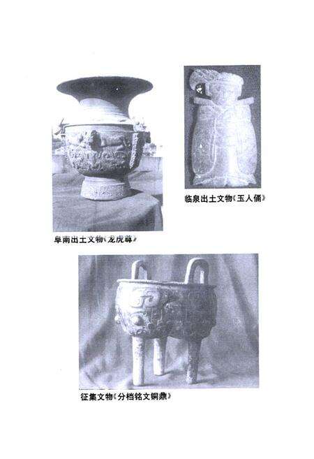 《《阜阳地区文化志》》.pdf_安徽省志预览图4