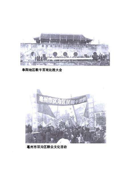 《《阜阳地区文化志》》.pdf_安徽省志预览图5