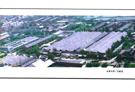 《安徽丝绸厂志(1957-1985)》.pdf_安徽省志预览图4