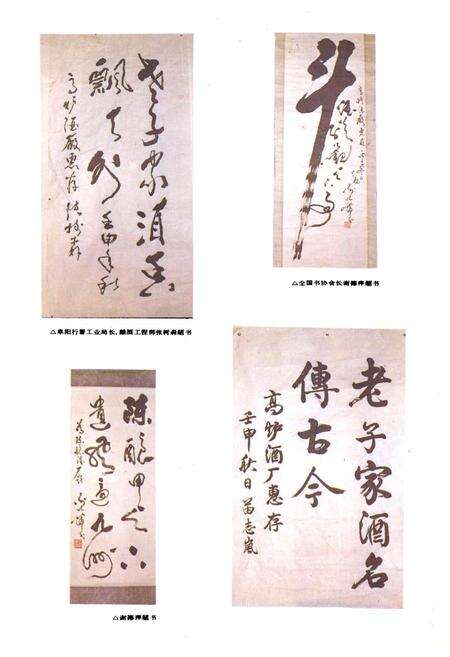 《高炉酒厂志》.pdf_安徽省志预览图4