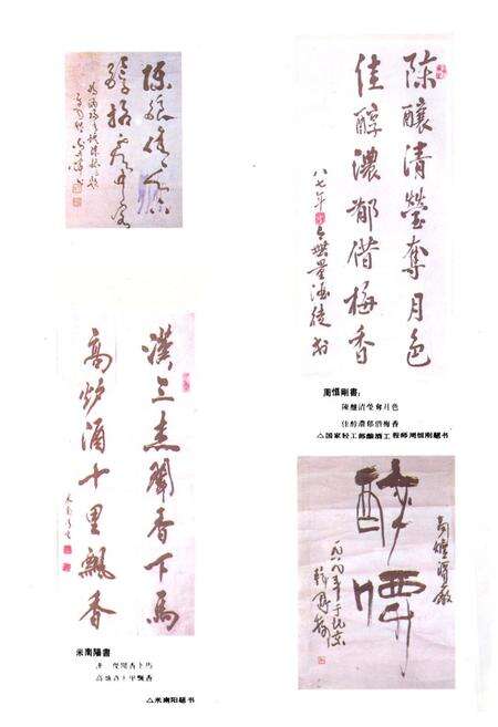 《高炉酒厂志》.pdf_安徽省志预览图5