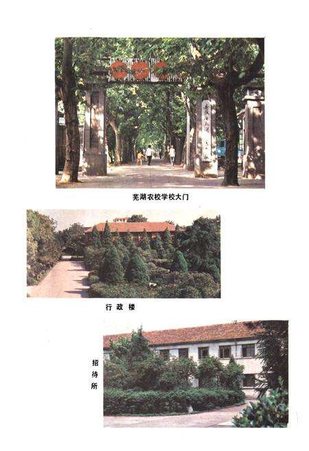 《芜湖农校志(1902-1988)》.pdf_安徽省志预览图1