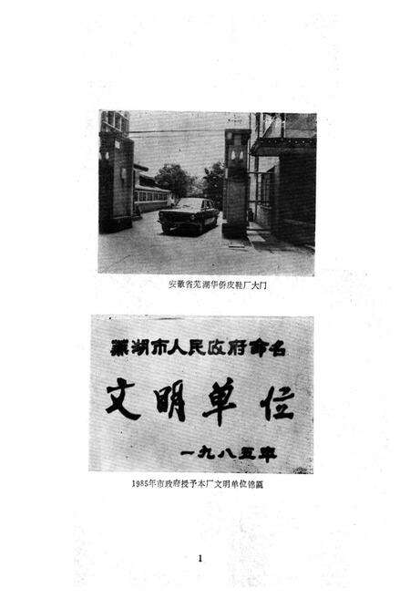 《芜湖华侨皮鞋厂志》.pdf_安徽省志预览图3