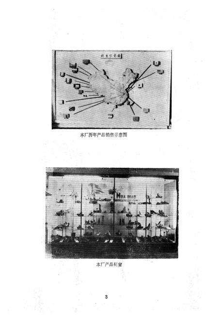 《芜湖华侨皮鞋厂志》.pdf_安徽省志预览图5
