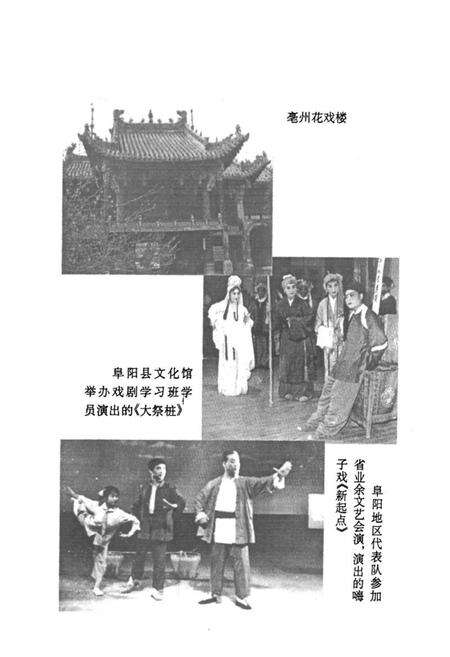 《阜阳地区群众文化志》.pdf_安徽省志预览图5