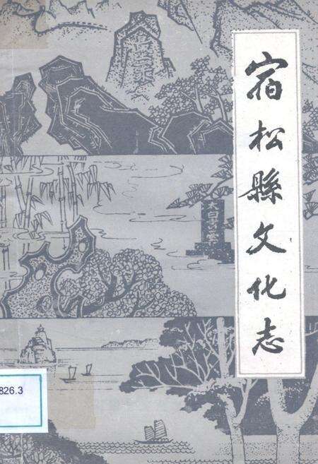 《宿松县文化志》.pdf_安徽省志缩略图