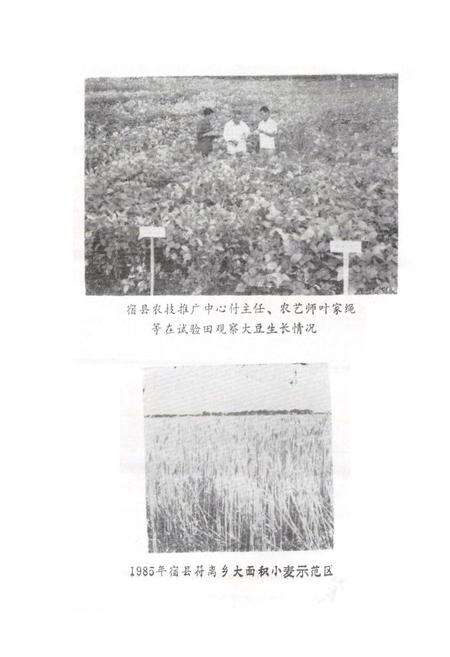 《《宿县农牧渔业志》》.pdf_安徽省志预览图5
