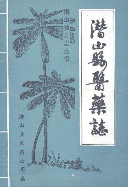 《《潜山县医药志》》.pdf_安徽省志缩略图
